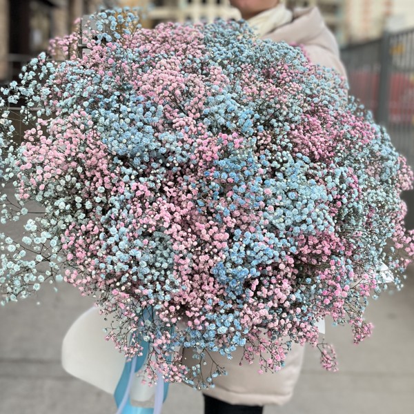 Букет на Гендр Патти  51 гипсофила